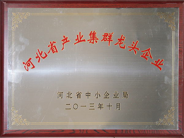河北省工业集群龙头企业-2013年