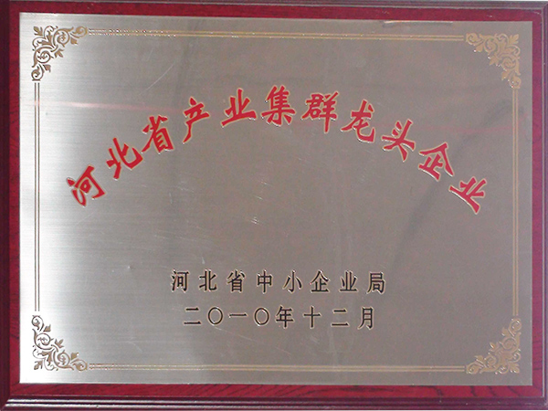 工业龙头群集-2010年